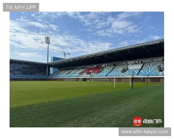 足球记者调查报道Role，行业问题揭示